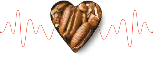 Pecan heart illustration